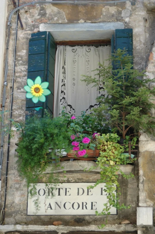 a building with shutters and blue windows and potted plants outside of it