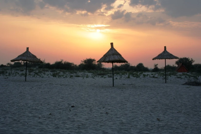 an array of straw umbrellas in a desert setting