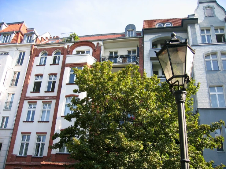 several buildings with trees and a lamp post in front