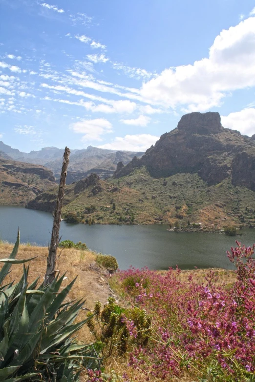 a body of water surrounded by mountains on a sunny day