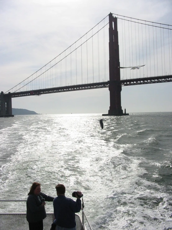 two people look at a bridge above a body of water