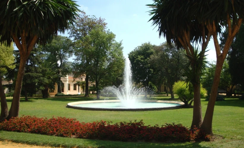 a water fountain surrounded by tropical trees and plants