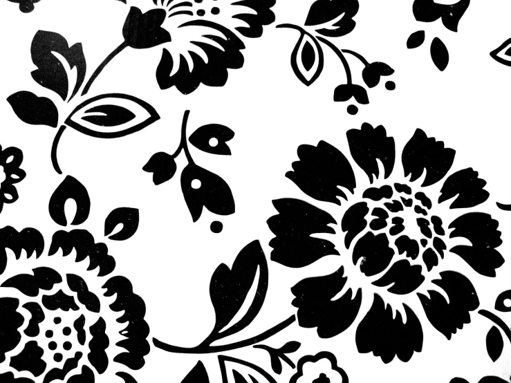 black and white floral pattern on white background