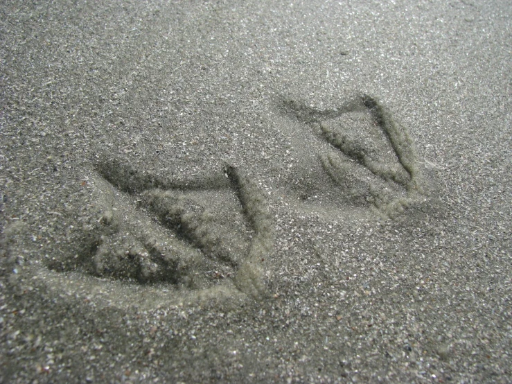 there are a few footprints in the sand