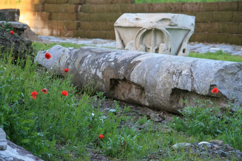 the flowers are red on the concrete near a bench