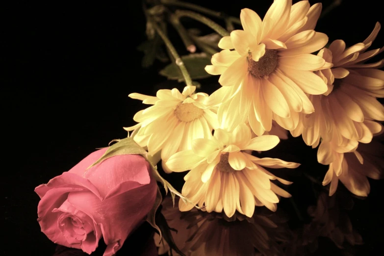a close up of flowers on a black table