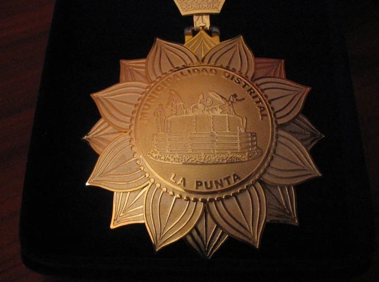 a medal is hanging in a case that is filled with other decorations