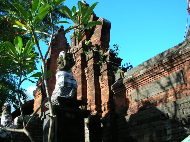 people and plants on top of an old brick building