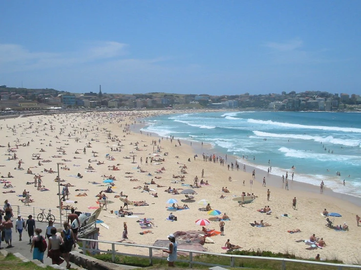 a large group of people are standing on the beach