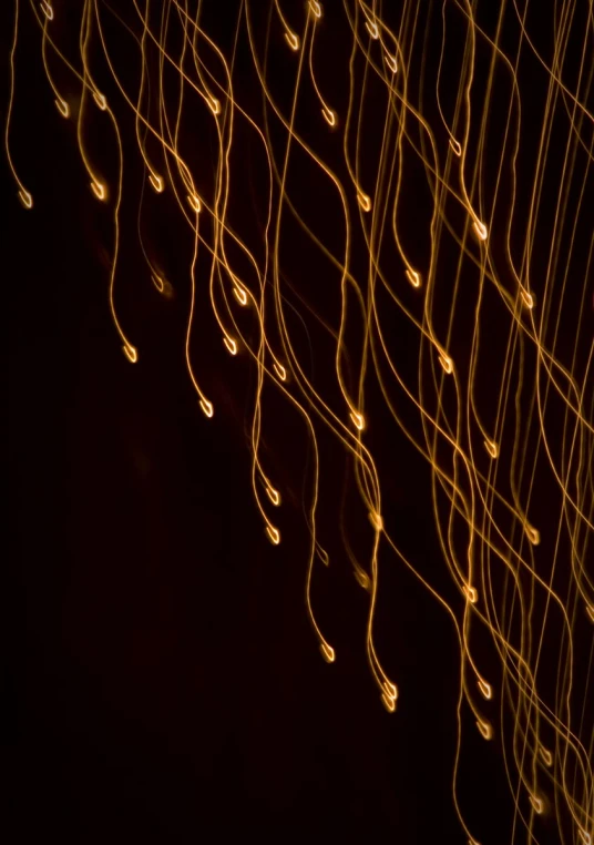 a wall of blurry lights shine brightly against a black background