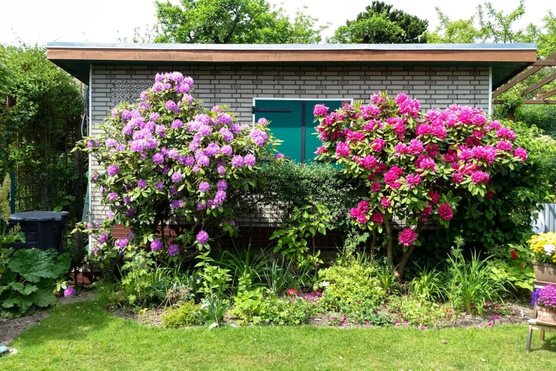 the plants are blooming around the building with a green door