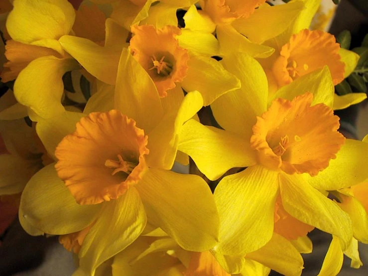 a bunch of yellow flowers sitting on top of a table