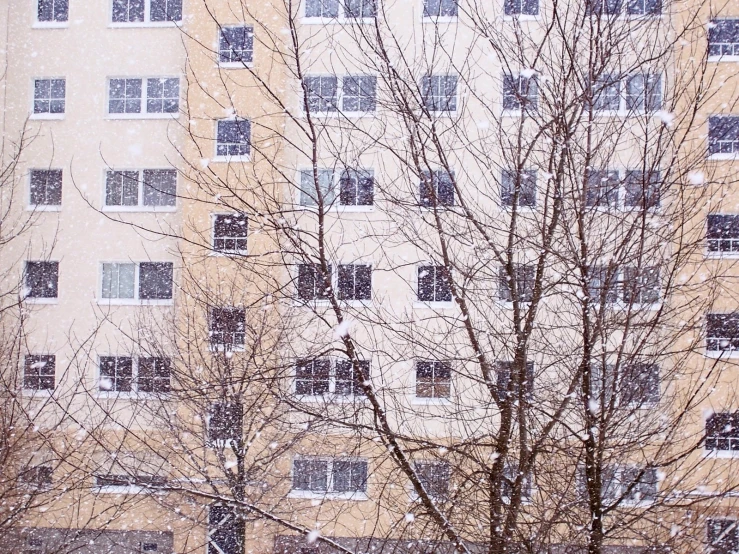 a yellow building that has several trees in front of it