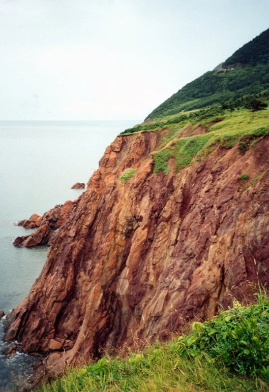 red rocks with lush green vegetation on a cliff face and water below them