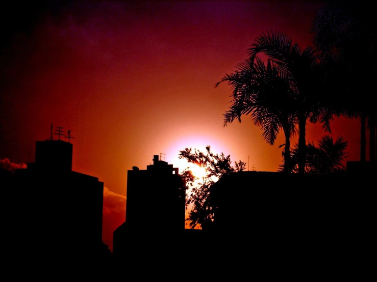 a view of the setting sun, with buildings and palm trees