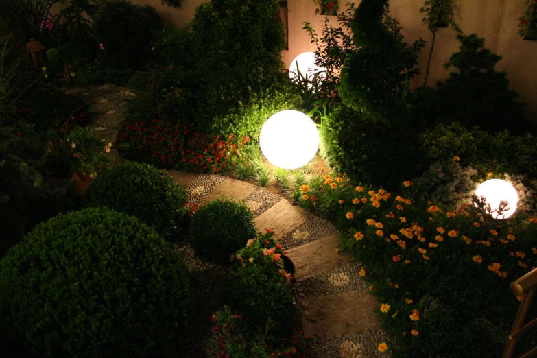 a garden in the dark with a lamp