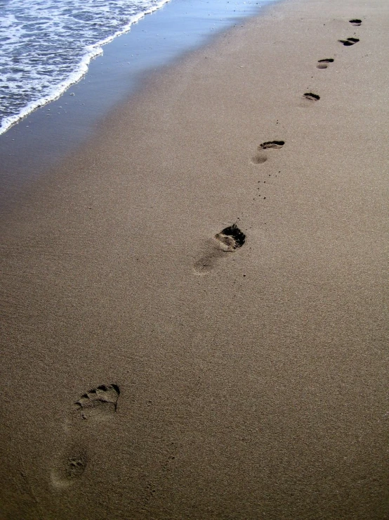 footprints are shown on the sand near the water