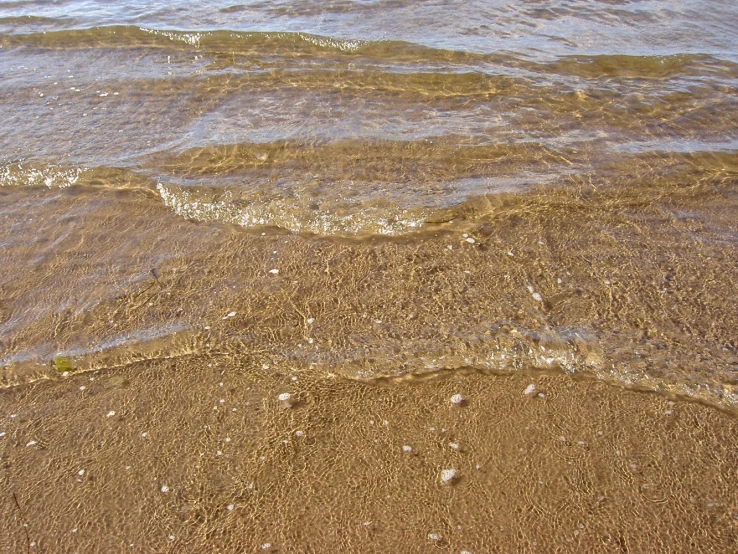 some water with small waves coming in and on