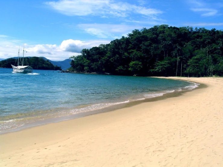 boat docked on the beach with trees in the background