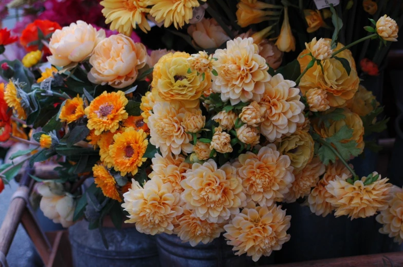 a big bunch of pretty flowers sitting together