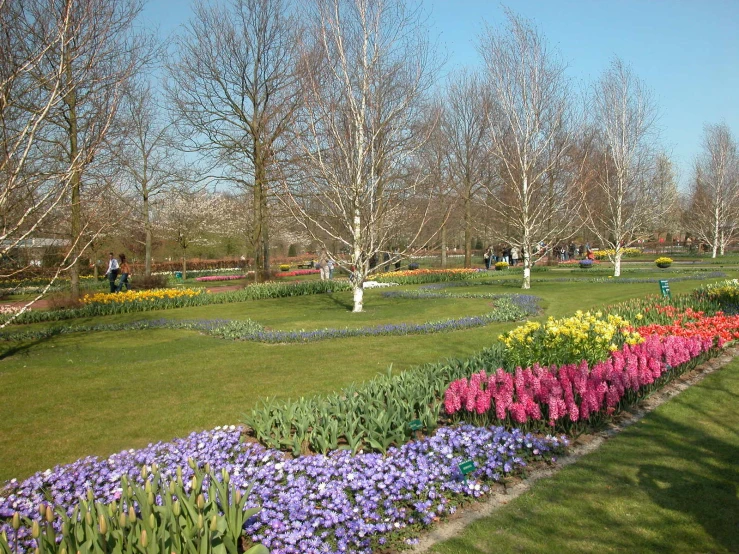 the beautiful garden features flowers and grass