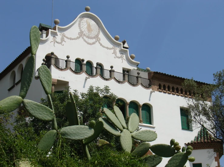 cactus in front of a house with a blue sky background