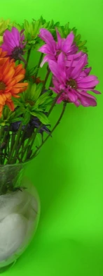 there is a vase of flowers sitting on the green screen