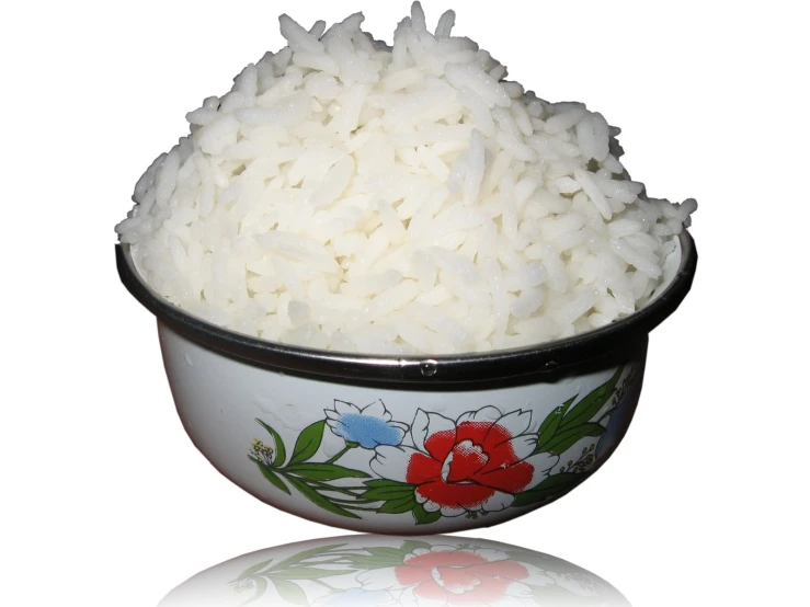 rice sits in a small bowl and is ready to be eaten