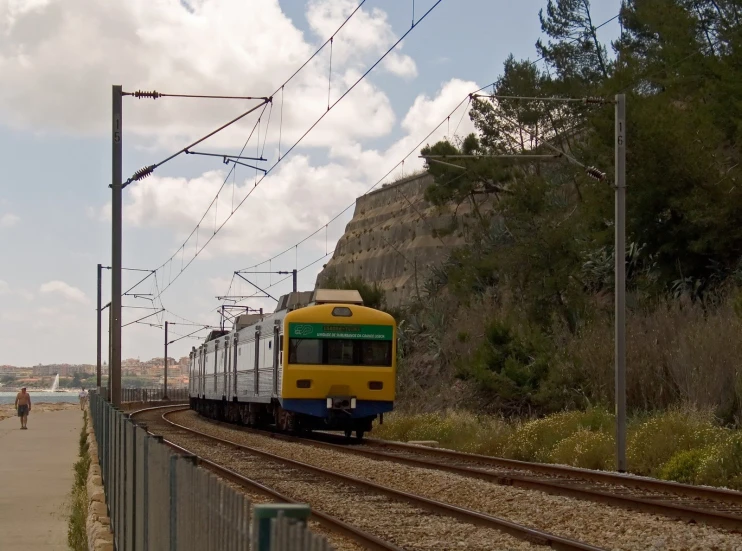 the passenger train travels through a wooded area