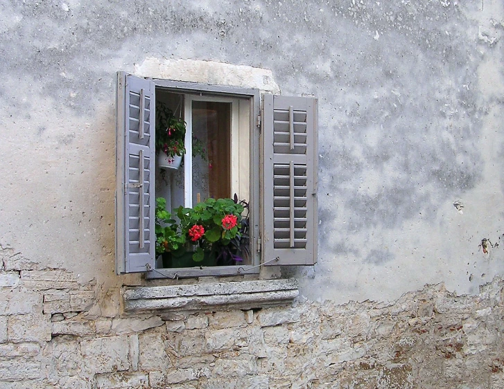 flowers in an open window on a wall