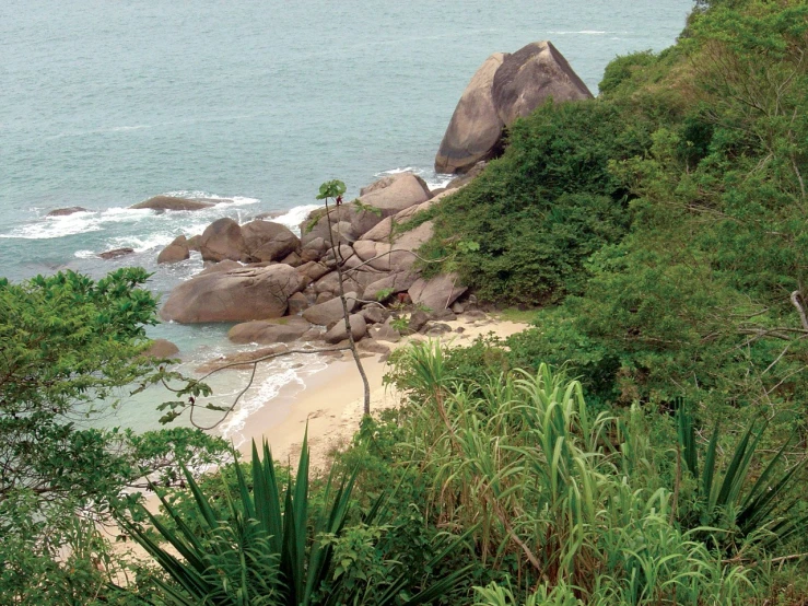 there is a beach with trees and rock formation