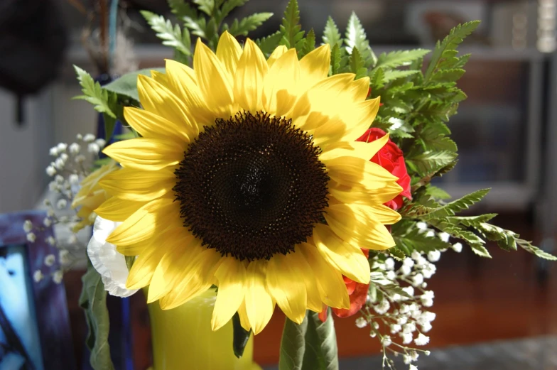 a close up view of a yellow vase holding a large sunflower