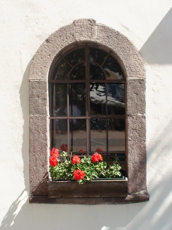 a view of a building with two red flowers growing out of it