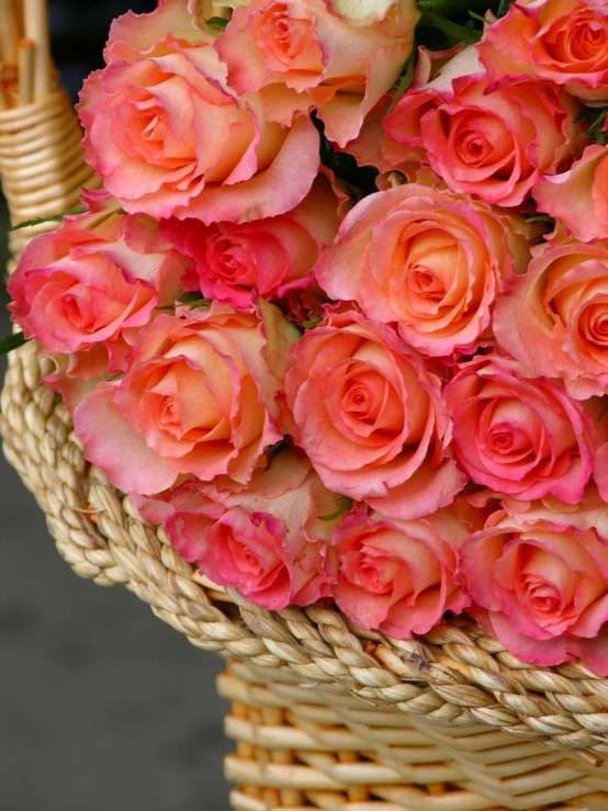 a bunch of pink roses is being held by a wicker basket