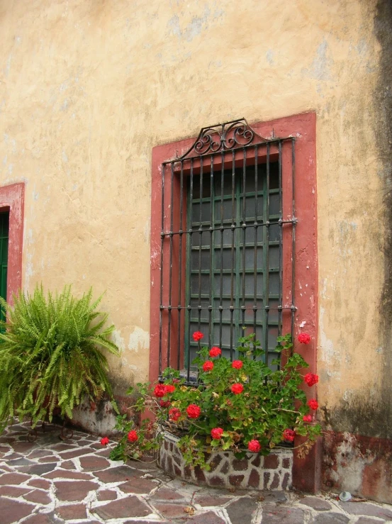 there are red flowers in some windows of a yellow building