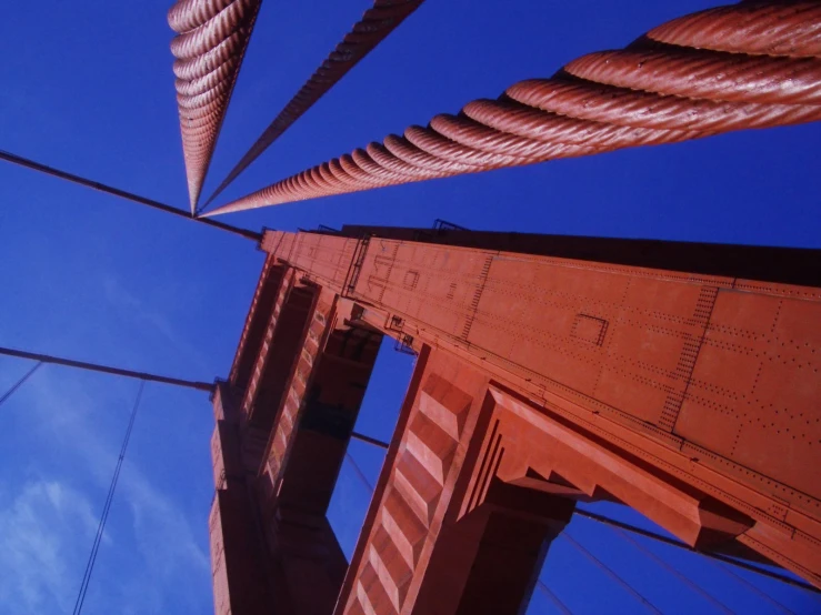 a close up image of a bridge's support ropes