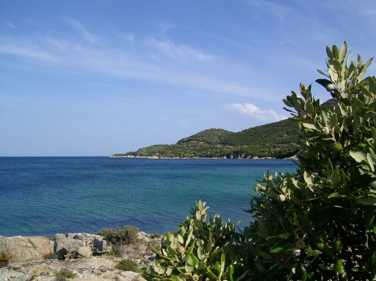 a hill and some green trees are on the water