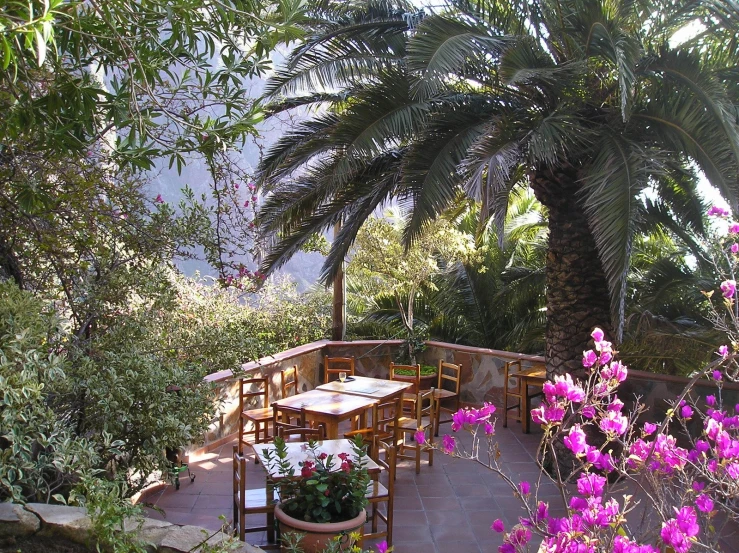 an outside area that has a tree and some chairs