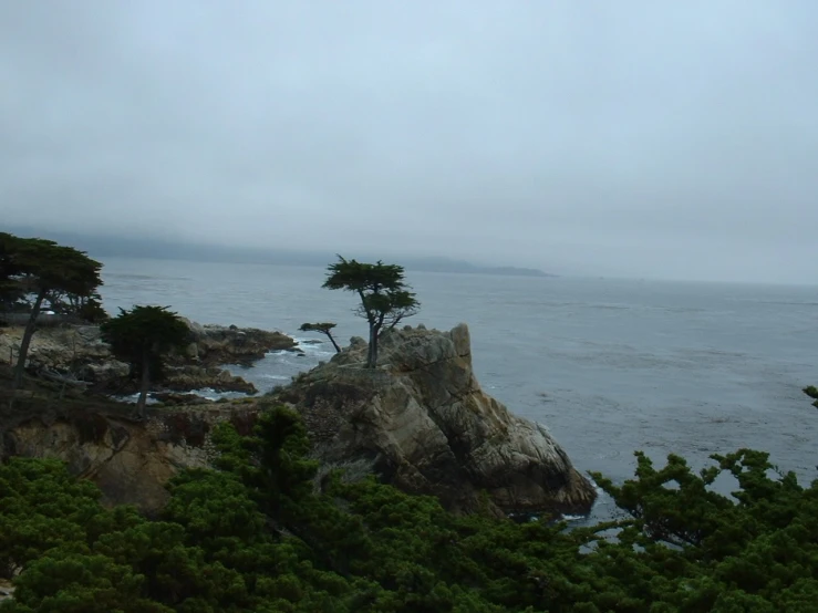 a lone tree sitting on top of a rock next to the ocean