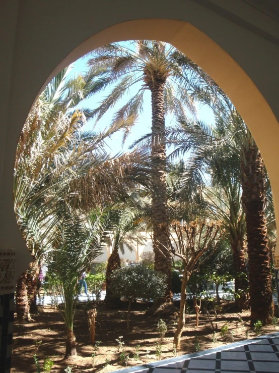 an archway between two streets with palm trees