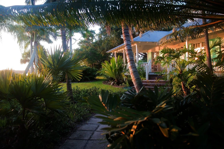 the house sits between trees in a garden area