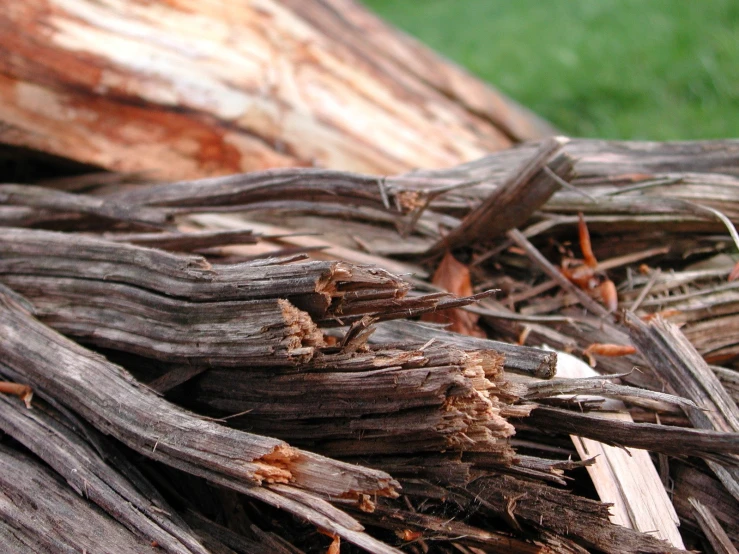 a couple of wooden logs are in the grass