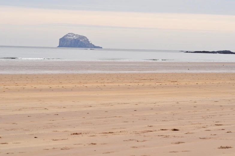 a dog walking along a beach next to water