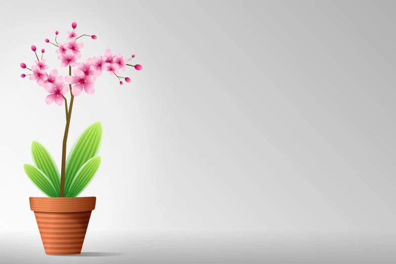 a pink flower in a pot is on a gray background