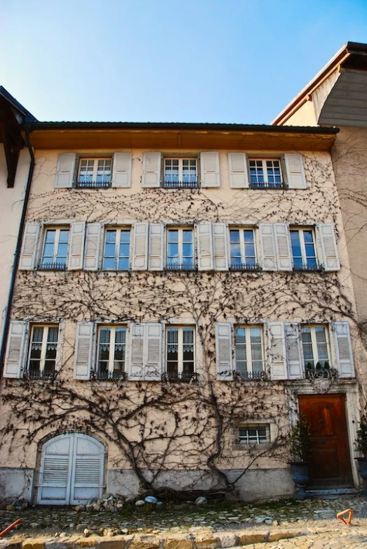 the building has many windows and some vines on it