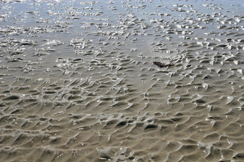 a sandy beach covered in small white waves