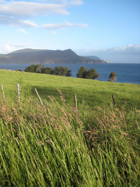 a grass field with some water and hills in the background