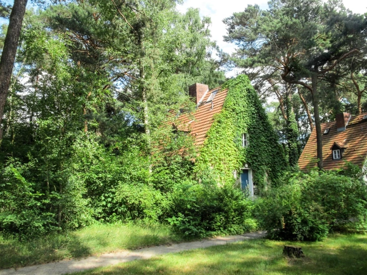 a house with the overgrown lawn and trees surrounding it