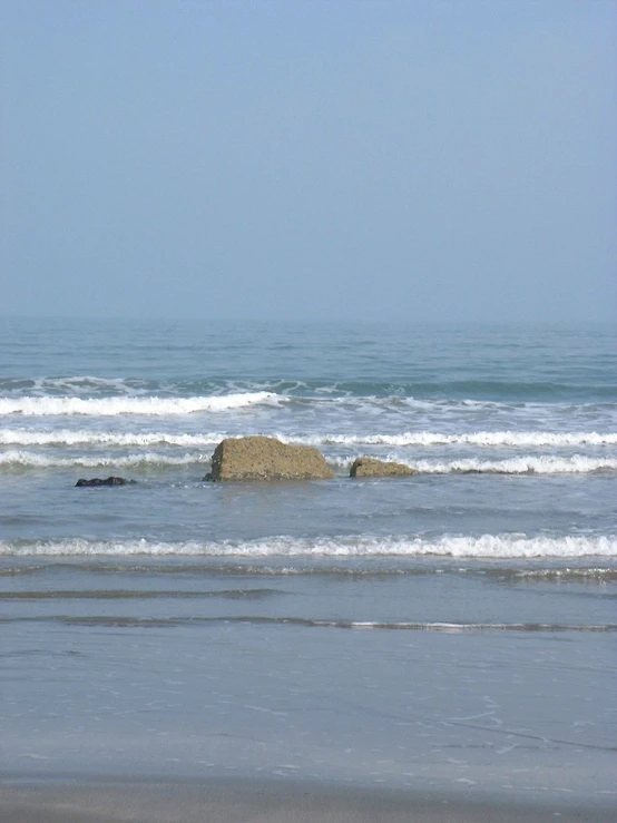 a lone dog walking into the water from a beach