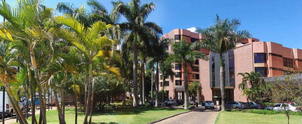 trees, grass, a brick building and a small paved path lead to the entrance